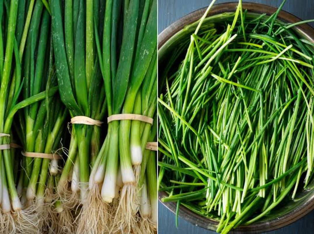 Chives from Kenya